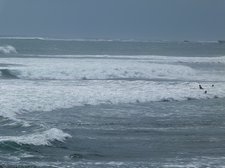 P1160558