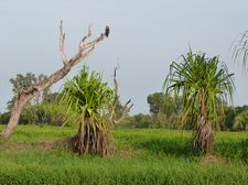 P1170102