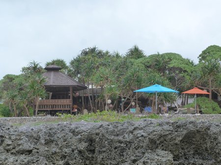 P1170578